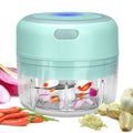 Lychee Electric Garlic Chopper Portable Food Processor Small Rechargeble Mini Garlic Mincer for Dicing, Ginger, Chili, Fruits, Onions Pepper and Baby Food 100ML, Green