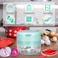 Lychee Electric Garlic Chopper Portable Food Processor Small Rechargeble Mini Garlic Mincer for Dicing, Ginger, Chili, Fruits, Onions Pepper and Baby Food 100ML, Green